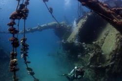 Marsa Alam - Red Sea Dive Holiday. Hamada wreck.